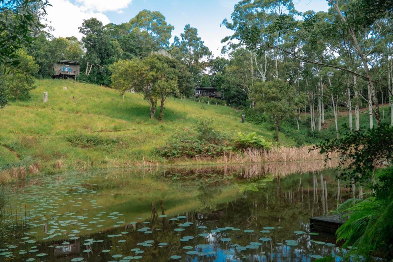 Whispering Valley Cottage Retreat Maleny Exterior foto